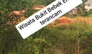 Oplus_131072